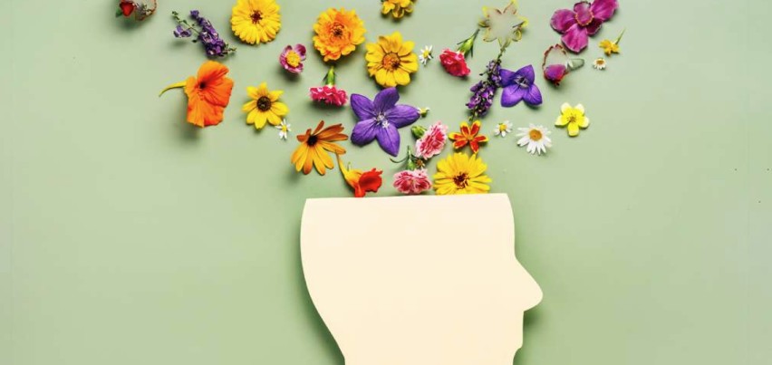 Enhancing Individual Psychological Safety and Mental Wellness at Work